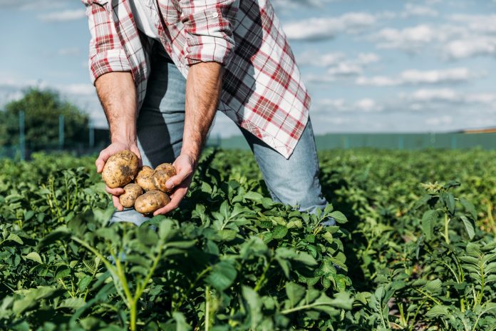 Recognition of Fair Farms proves industry is protecting workers